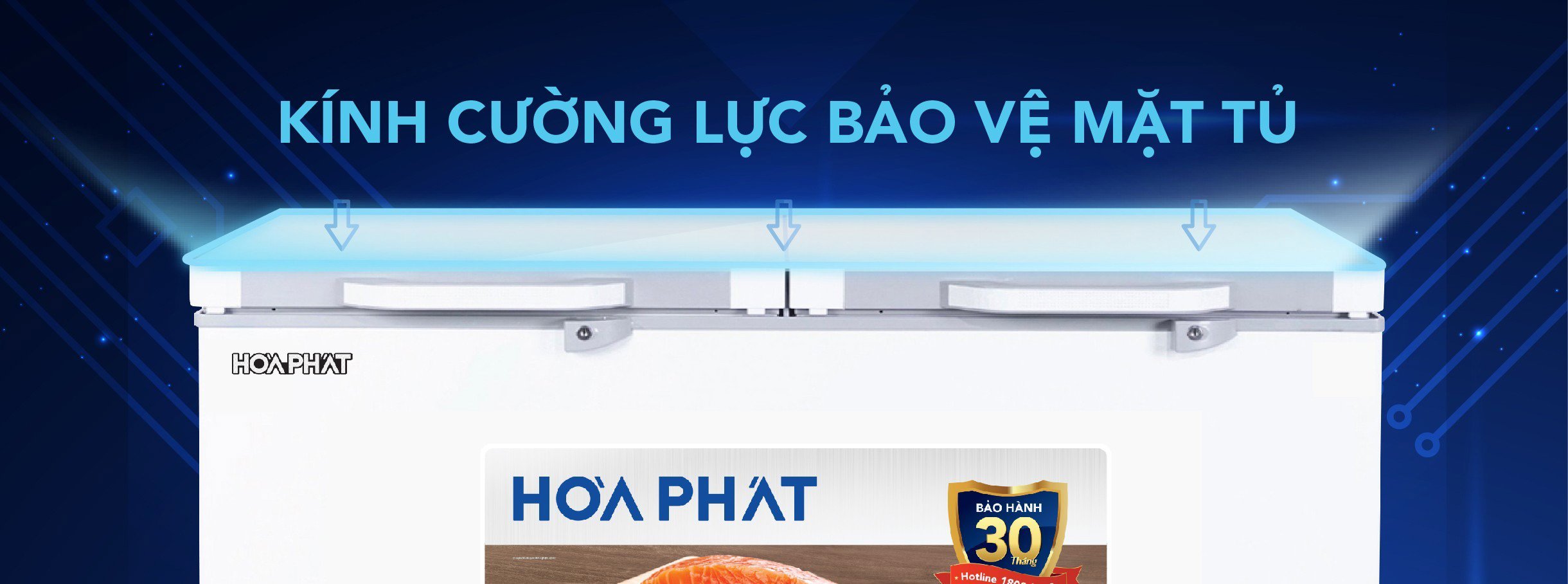 Tủ bảo quản 1 ngăn mặt kính Hòa Phát 352L HPF-AD6352.T1
